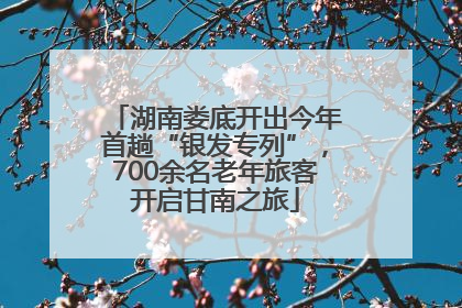 湖南娄底开出今年首趟“银发专列”，700余名老年旅客开启甘南之旅