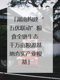 湖南构建“五优联动”粮食全链生态 千万亩粮源基地夯实产业根基