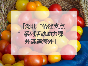 湖北“侨建支点”系列活动助力鄂州连通海外
