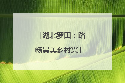 湖北罗田：路畅景美乡村兴