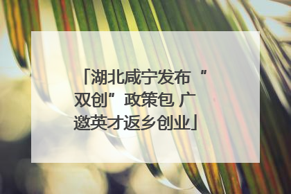 湖北咸宁发布“双创”政策包 广邀英才返乡创业