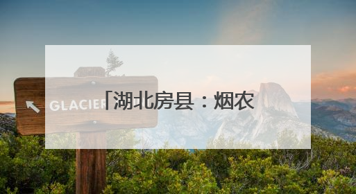湖北房县：烟农“好帮手”解锁植保“新姿势”