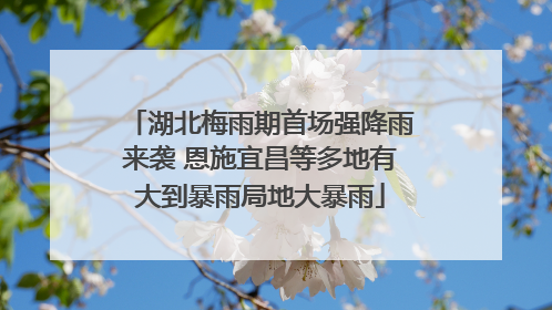 湖北梅雨期首场强降雨来袭 恩施宜昌等多地有大到暴雨局地大暴雨