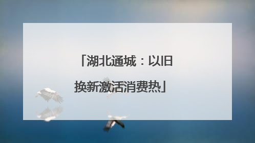 湖北通城：以旧换新激活消费热