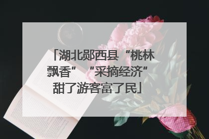 湖北郧西县“桃林飘香”“采摘经济”甜了游客富了民