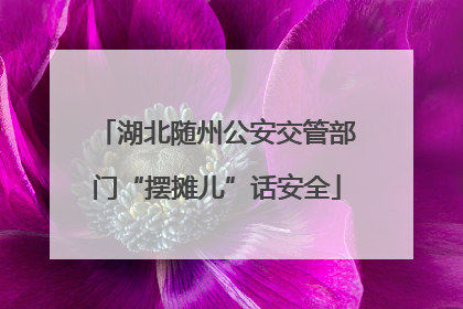 湖北随州公安交管部门“摆摊儿”话安全