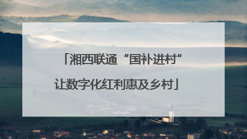 湘西联通“国补进村”让数字化红利惠及乡村