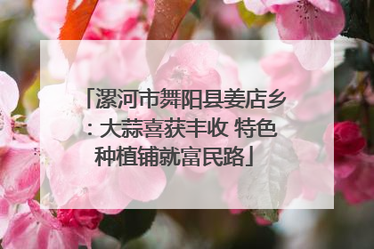 漯河市舞阳县姜店乡：大蒜喜获丰收 特色种植铺就富民路