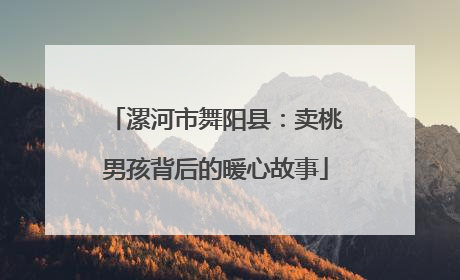 漯河市舞阳县：卖桃男孩背后的暖心故事