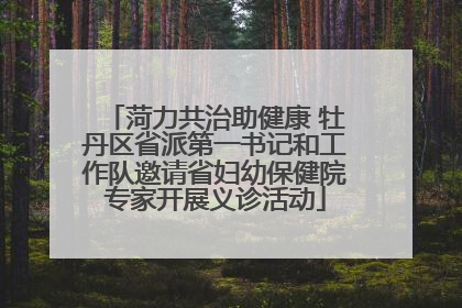 菏力共治助健康 牡丹区省派第一书记和工作队邀请省妇幼保健院专家开展义诊活动