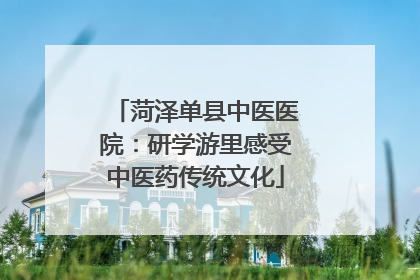 菏泽单县中医医院：研学游里感受中医药传统文化