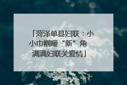 菏泽单县妇联：小小巾帼暖“新”角 满满妇联关爱情