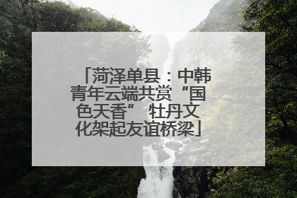 菏泽单县：中韩青年云端共赏“国色天香” 牡丹文化架起友谊桥梁