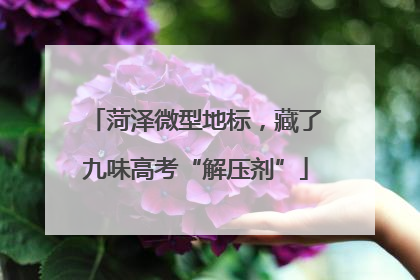 菏泽微型地标，藏了九味高考“解压剂”