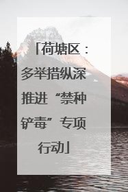 荷塘区：多举措纵深推进“禁种铲毒”专项行动