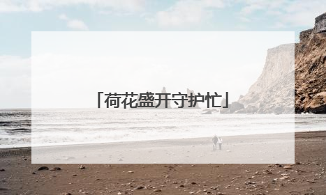 荷花盛开守护忙