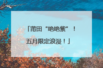 莆田“绝绝紫”！五月限定浪漫！