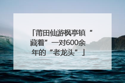 莆田仙游枫亭镇“藏着”一对600余年的“老龙头”