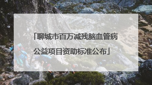 聊城市百万减残脑血管病公益项目资助标准公布