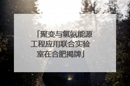 聚变与氢氨能源工程应用联合实验室在合肥揭牌