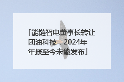 能链智电董事长转让团油科技，2024年年报至今未能发布