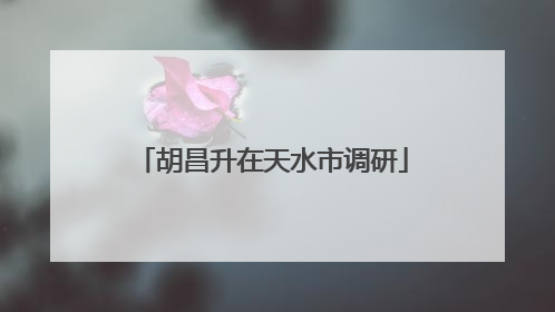 胡昌升在天水市调研
