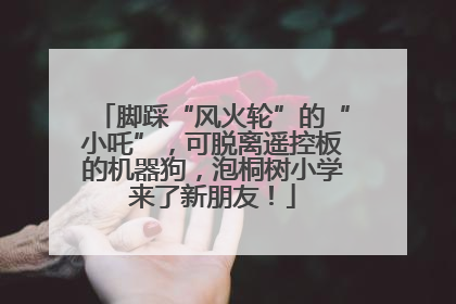 脚踩“风火轮”的“小吒”，可脱离遥控板的机器狗，泡桐树小学来了新朋友！