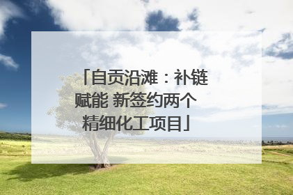 自贡沿滩：补链赋能 新签约两个精细化工项目