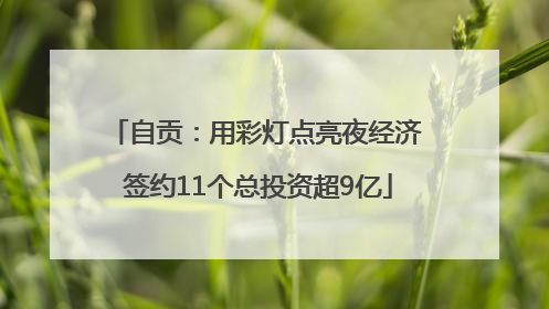 自贡：用彩灯点亮夜经济 签约11个总投资超9亿
