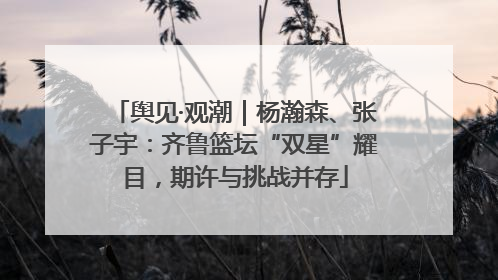舆见·观潮｜杨瀚森、张子宇：齐鲁篮坛“双星”耀目，期许与挑战并存