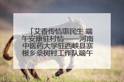 艾香传情惠民生 端午安康驻村情——河南中医药大学驻西峡县寨根乡桑树村工作队端午中医惠民记