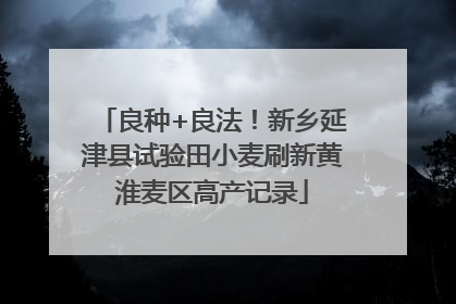 良种+良法！新乡延津县试验田小麦刷新黄淮麦区高产记录