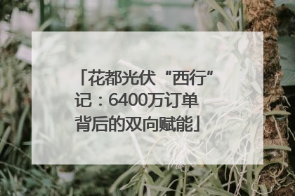 花都光伏“西行”记：6400万订单背后的双向赋能