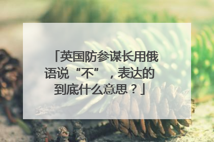 英国防参谋长用俄语说“不”，表达的到底什么意思？