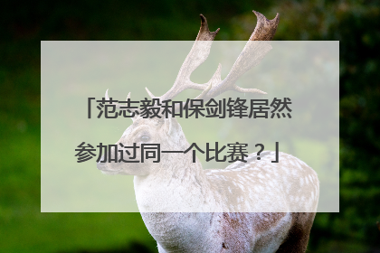 范志毅和保剑锋居然参加过同一个比赛？