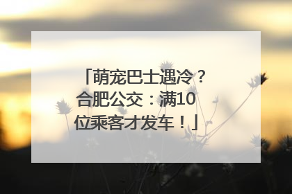 萌宠巴士遇冷？合肥公交：满10位乘客才发车！
