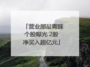 营业部最青睐个股曝光 2股净买入超亿元