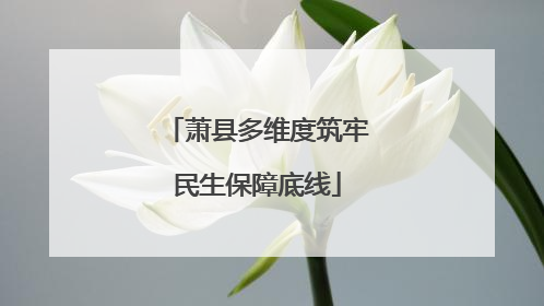 萧县多维度筑牢民生保障底线