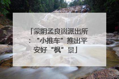 蒙阴孟良崮派出所：“小推车”推出平安好“枫”景