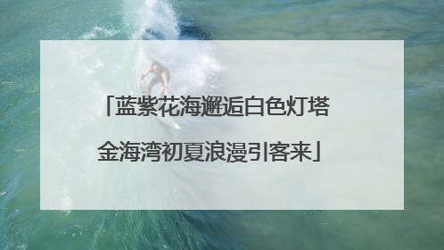 蓝紫花海邂逅白色灯塔 金海湾初夏浪漫引客来