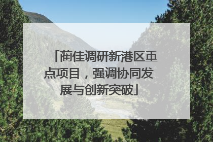 蔺佳调研新港区重点项目，强调协同发展与创新突破