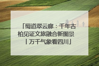 蜀道翠云廊：千年古柏见证文旅融合新图景丨万千气象看四川