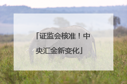 证监会核准！中央汇金新变化