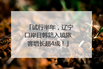 试行半年，辽宁口岸日韩籍入境旅客增长超4成！