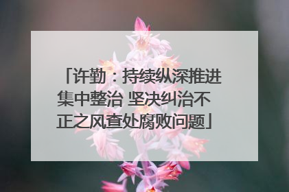 许勤：持续纵深推进集中整治 坚决纠治不正之风查处腐败问题
