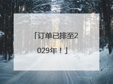 订单已排至2029年！