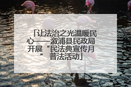 让法治之光温暖民心——溆浦县民政局开展“民法典宣传月” 普法活动