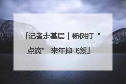 记者走基层｜杨树打“点滴” 来年抑飞絮