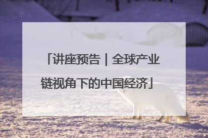 讲座预告｜全球产业链视角下的中国经济