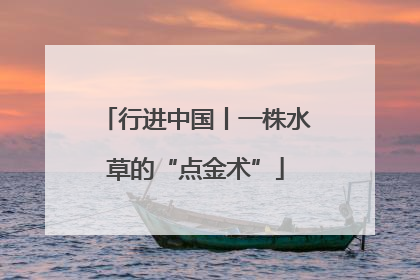 行进中国丨一株水草的“点金术”